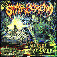 soundassaultcover.gif